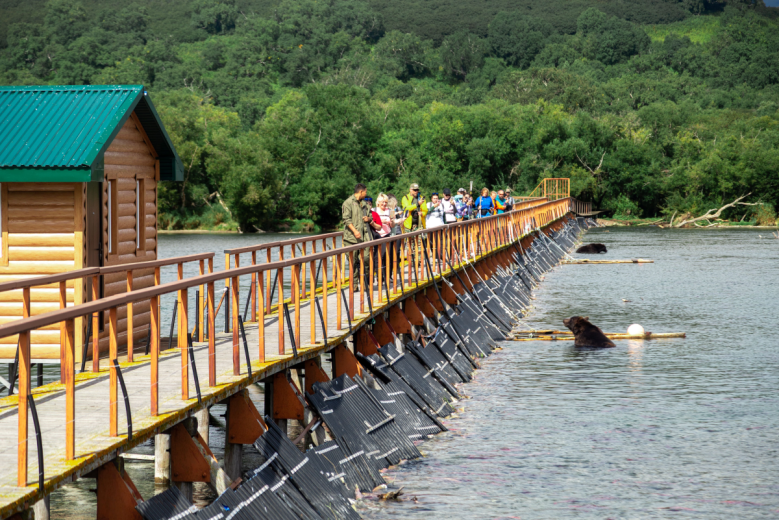 MDV Elite Camp. Фото 27